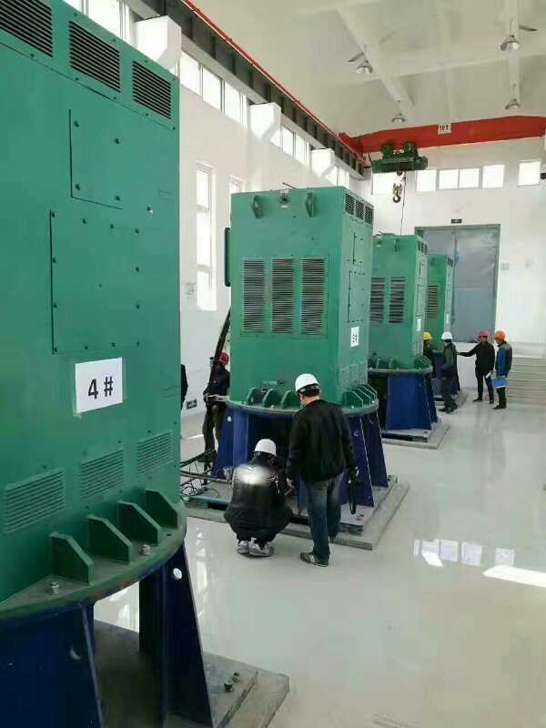 枣庄某污水处理厂使用我厂的立式高压电机安装现场质量怎么样