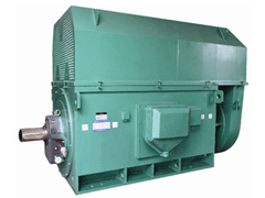 枣庄Y系列6KV高压电机
